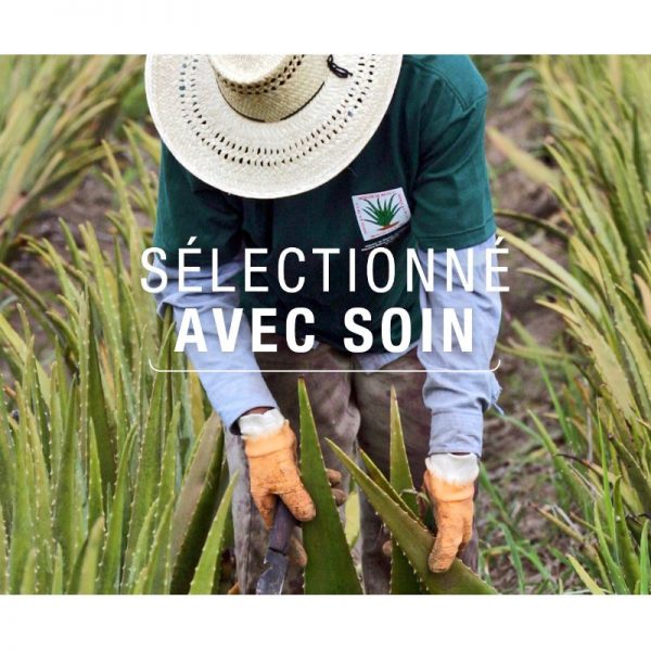 herbalife nutrition aloe max